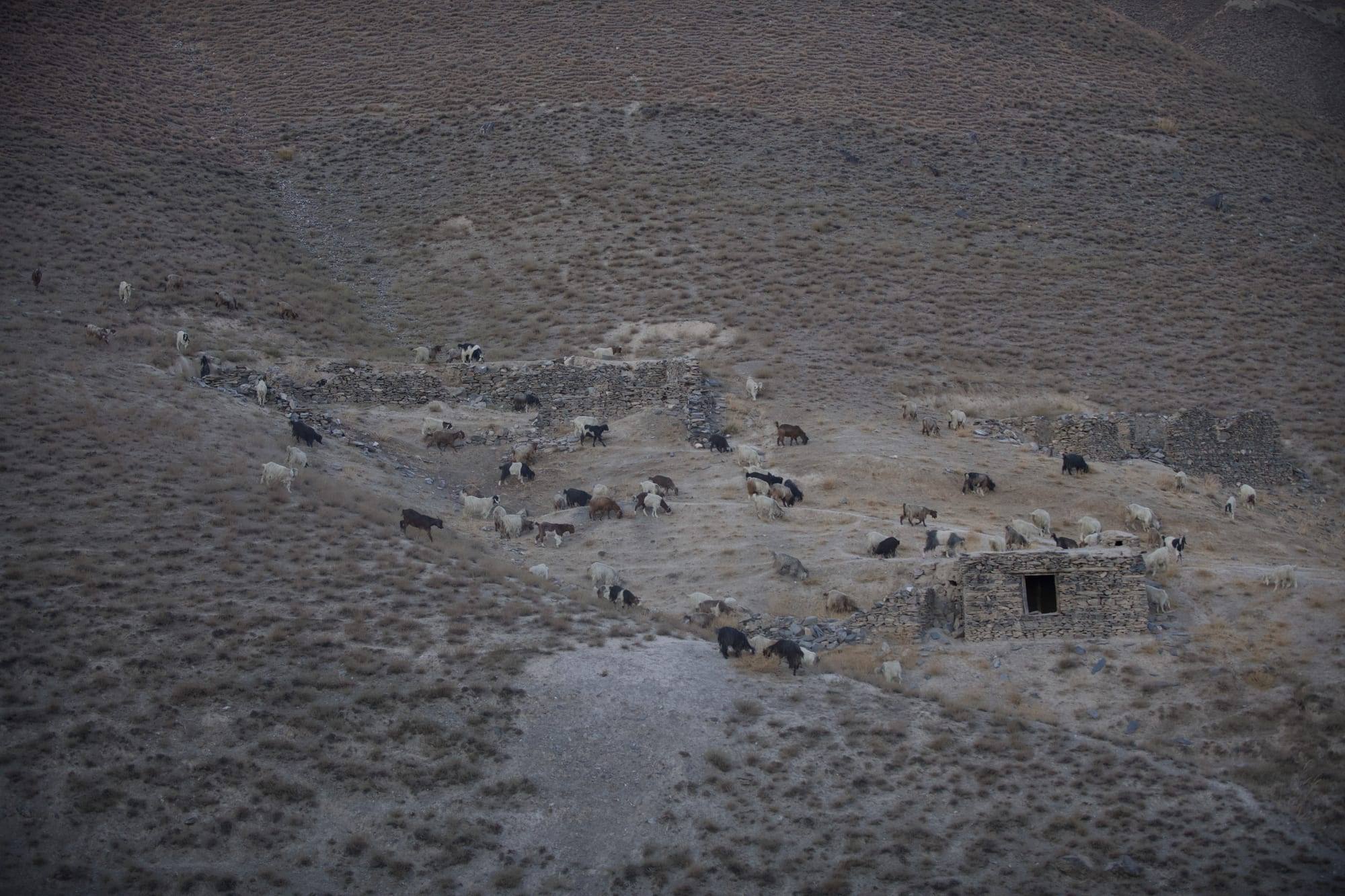 Photograph of the Chitral Valley and Dolomutz grounds